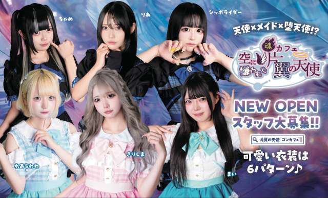 空に嫌われた、片翼の天使