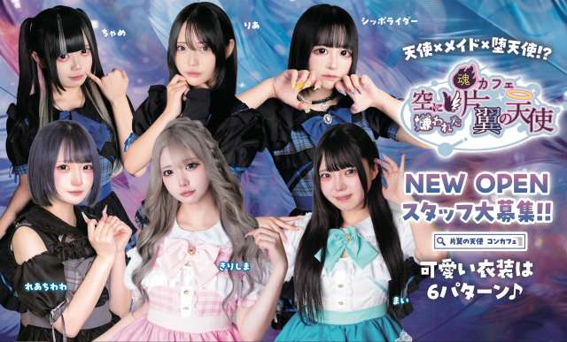 空に嫌われた、片翼の天使