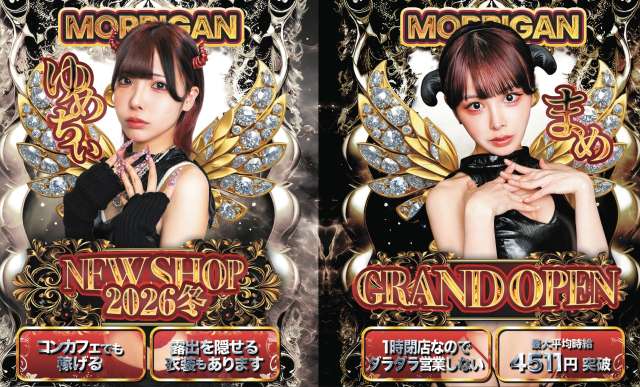 Succubus&Angel MORRIGAN