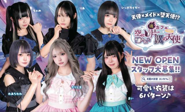 空に嫌われた、片翼の天使