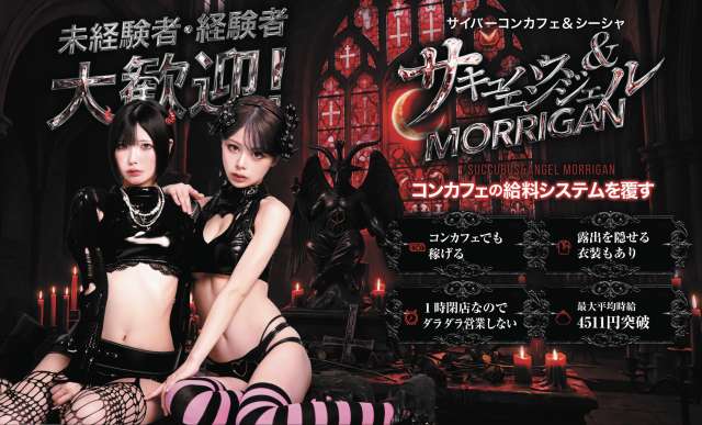Succubus&Angel MORRIGAN